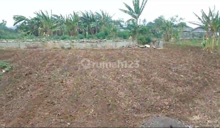 Dijual Murah Lahan Industri Untuk Pabrik Atau Kawasan Gudang Pinggir Jalan Raya Dekat Ikad Dan Gajah Tunggal 2