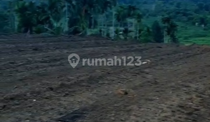 Tanah Strategis Pekanbaru Siap Garap untuk Developer dan Investor