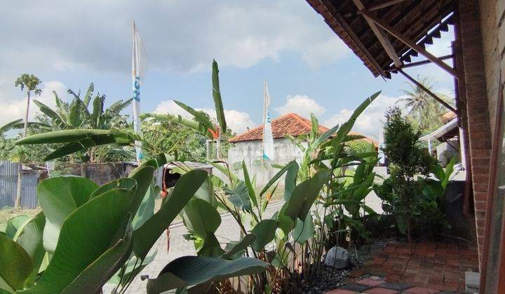 Rumah Etnik Jawa Dekat Dengan Tugu Jogja, Malioboro Dan Pasar Godean Yogyakarta 1