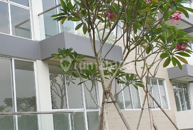 Rainbow Spring Condovillas lantai favorit GROUND Gading Serpong