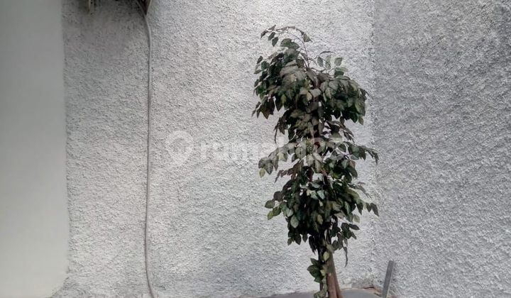 Dijual Rumah One Gate System, Lingkungan Nyaman 