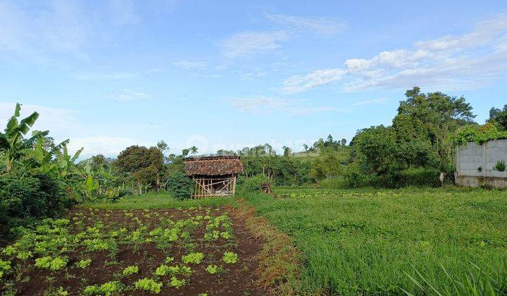 Tanah dijual cepat jl Haji Gofur pinggir jalan lokasi strategis  2