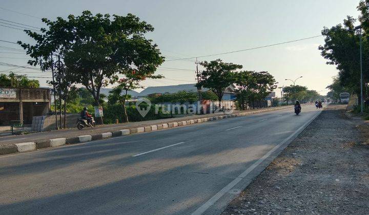 Tanah Komersil Jalan Raya Provinsi Lamongan Babat Hadap Utara 2