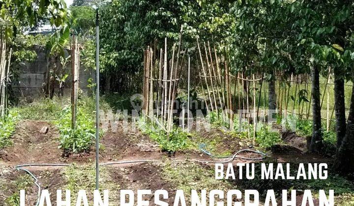 JUAL LAHAN KOTA BATU SEBELAH KUSUMA AGROWISATA 1