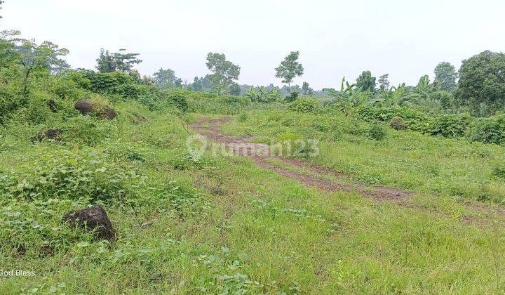 Lahan Luas 30Ha Kejayan Tambang Batu dan Tanah. Akses Tronton 1