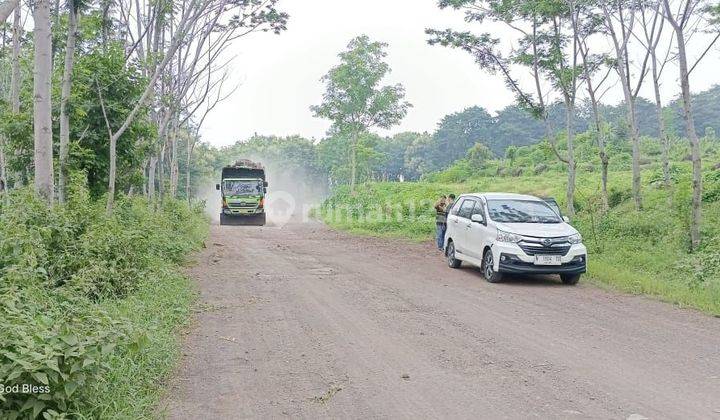 Lahan Luas 30Ha Kejayan Tambang Batu dan Tanah. Akses Tronton 2