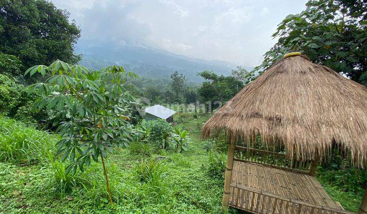 Lahan Perkebunan/ternak di Prigen, dekat Taman Safari II. 1