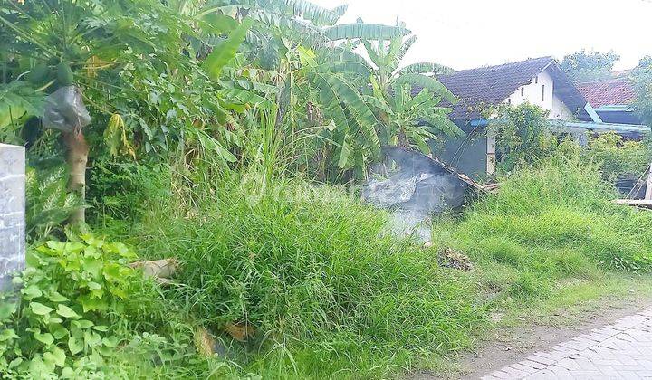 Lahan Balungbendo Akses Mobil Jalan Paving 1