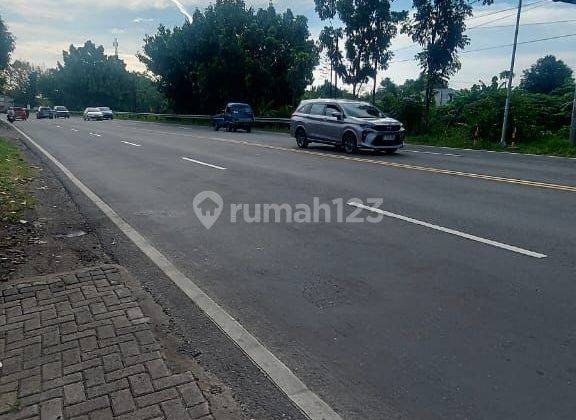 Lahan Balungbendo Akses Mobil Jalan Paving 2