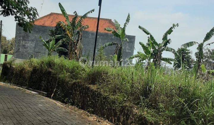 TANAH ORO ORO OMBO BATU MALANG LERENG ARJUNO 2