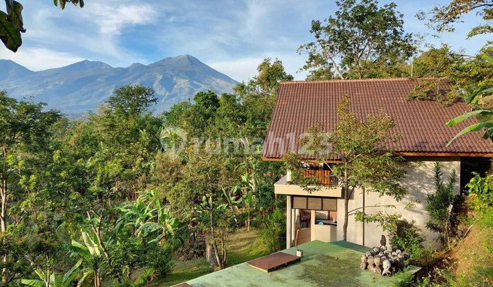 Kebun Alpukan Durian Ada Villa Untuk Tinggal Duyung Trawas Mojokerto Kebun Alpukan Durian Ada Villa Untuk Tinggal Duyung Trawas Mojokerto