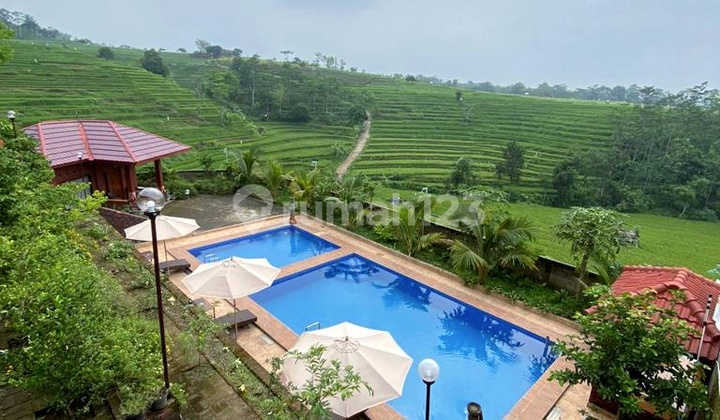 Villa Komersial Siap Usaha Passive Income Jolotundo Trawas