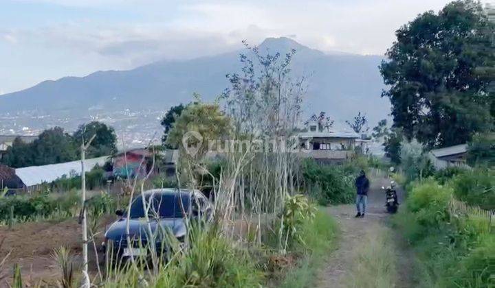 TANAH KEBUN SUBUR MURAH DESA BULUKERTO BUMIAJI 1