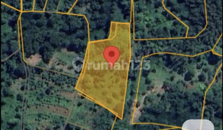 Pasuruan Tutur Land Near Bhakti Alam. Suitable for Plantation Livestock.