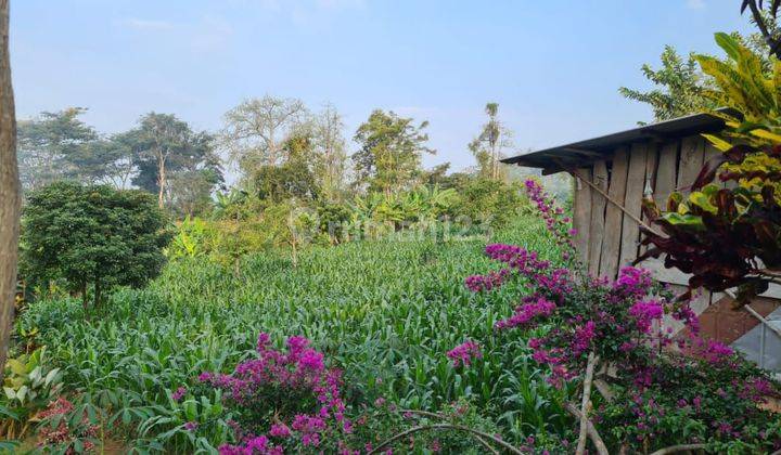 DIJUAL LAHAN BESAR PRIGEN NOL JALAN DEKAT BUKIT DOA 1