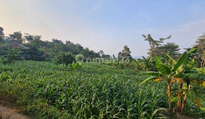 DI JUAL TANAH PRIGEN NOL JALAN RAYA LEDUG PASURUAN 1