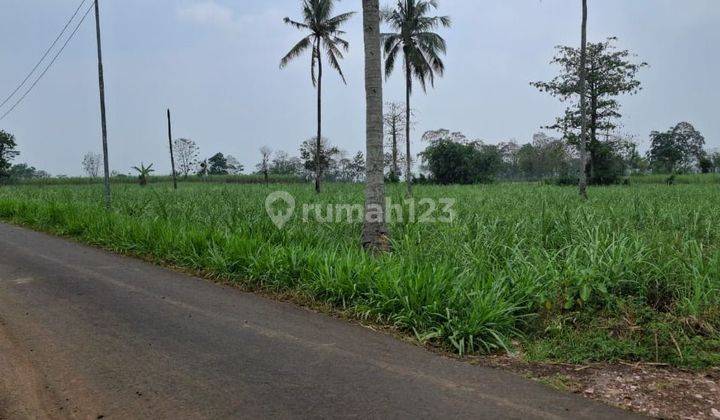 DIJUAL TANAH PAKIS MALANG. Nol Jalan. Berada di Zona Kuning. 1