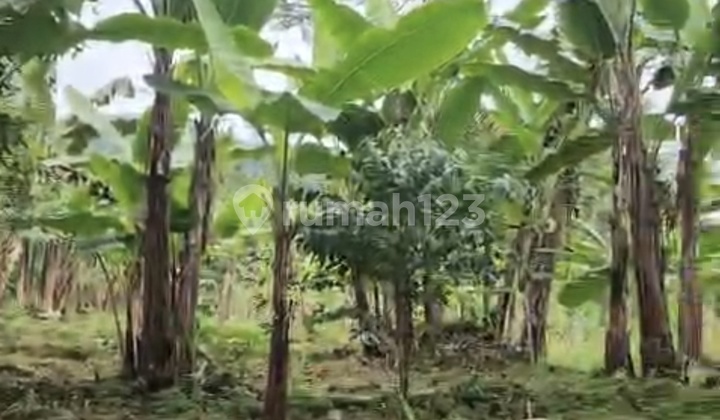 Lahan Datar Sukapura Bromo Probolinggo Nol Jalan Aspal