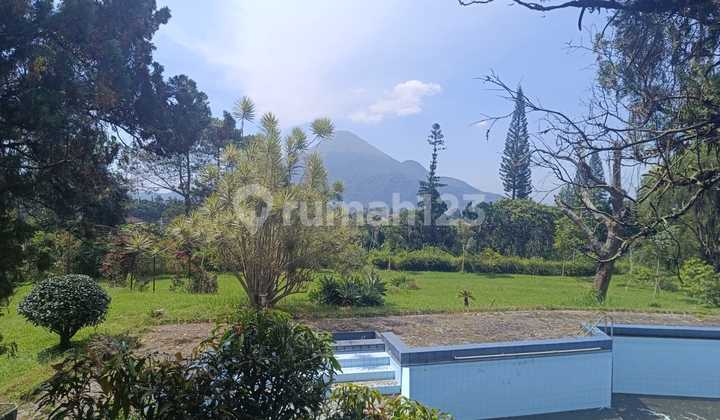 Lahan Villa Luas di Trawas Slepi Ketapanrame