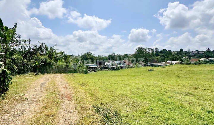 Lahan Besar Datar Desa Gendro Tutur Nongkojajar