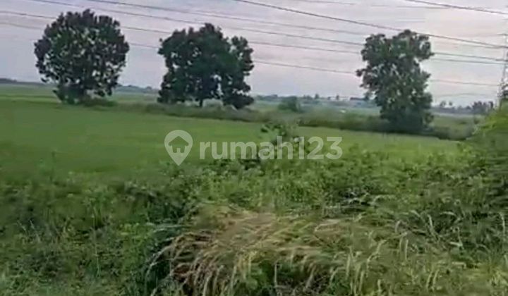 Lahan Industri Gubernur Soebardjo Lingkar Selatan Kalimantan 1