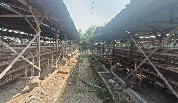 Lahan 1ha Nol Jalan Prigen Pandaan Pasuruan  2