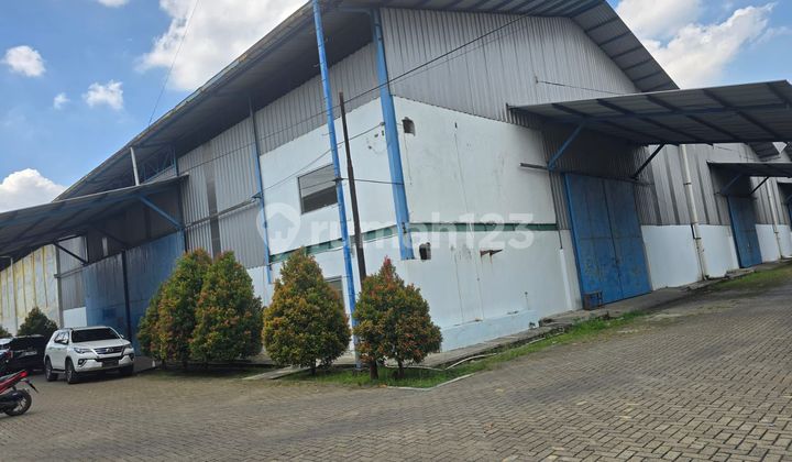 Warehouse for Rent in Cikupa