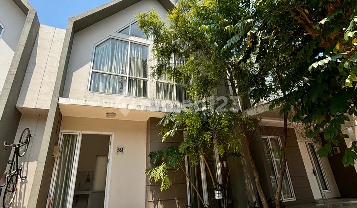 For Rent: Boston Cluster House For Rent: Boston Cluster House