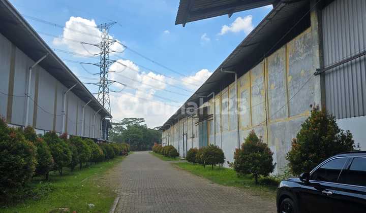 Warehouse for Rent in Cikupa Area Warehouse for Rent in Cikupa Area