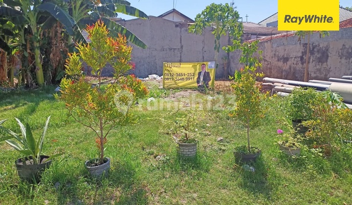 Dijual Tanah Di Saronojiwo Jemursari Cocok Untuk Beberapa Kavling
