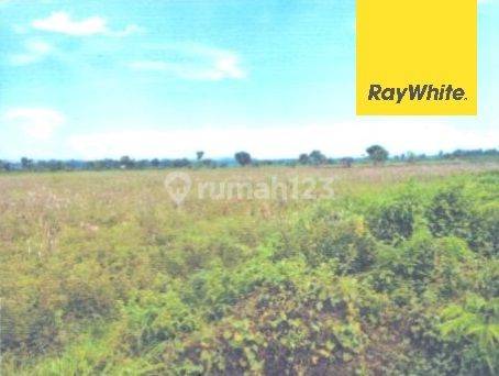 Dijual Tanah Di Daendles Desa Golokan Sidayu Gresik 2