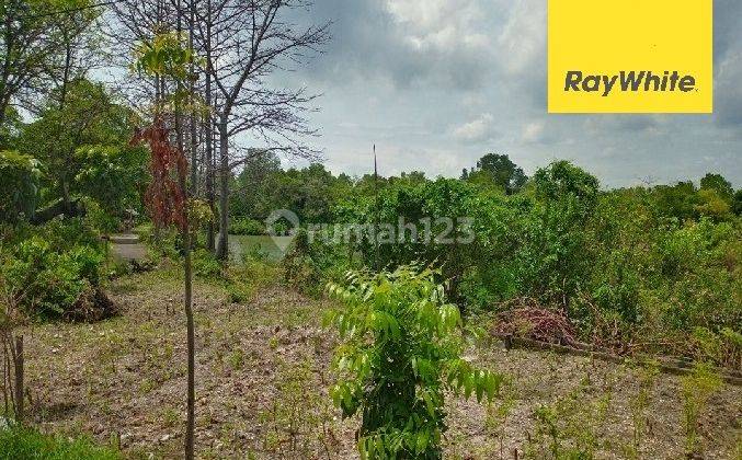 Dijual Tanah Dijalan Daendles Desa Lohgung Lamongan 1