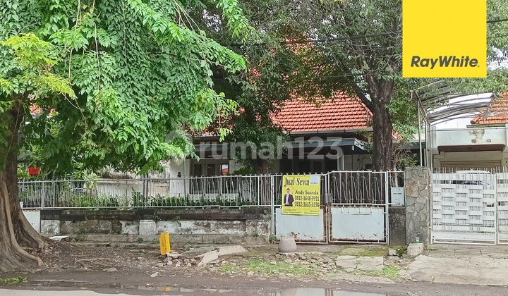 Disewakan Rumah Dijalan Musi Surabaya Pusat 1