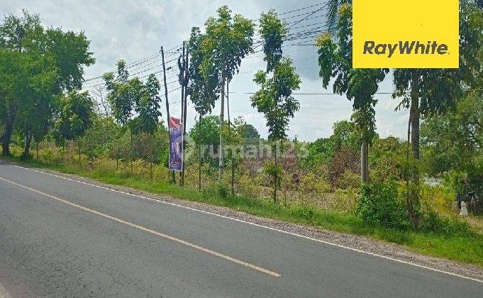 Dijual Tanah Dijalan Daendles Desa Lohgung Lamongan 2