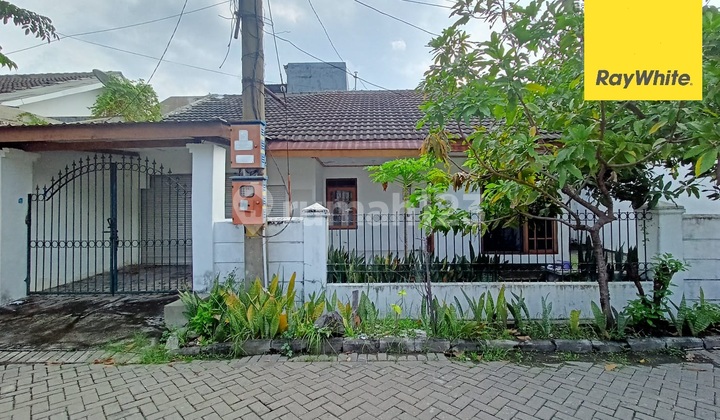 Disewakan Rumah Dijalan Sutorejo Selatan Surabaya 1
