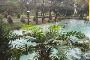 Dijual Villa SHM Di Trawas Mojokerto