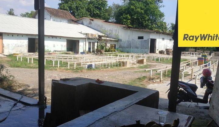 Dijual Tanah Dan Pabrik Di Ds Ngilir Kendal Jawa Tengah 1