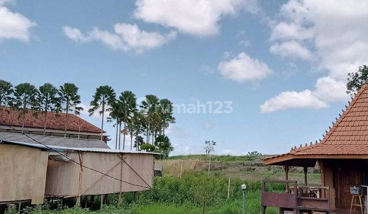 Hot List of land for sale in Tuka Dalung, North Kuta, Badung  2