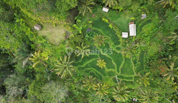 Hot List Land for sale in Payangan Ubud Gianyar 1