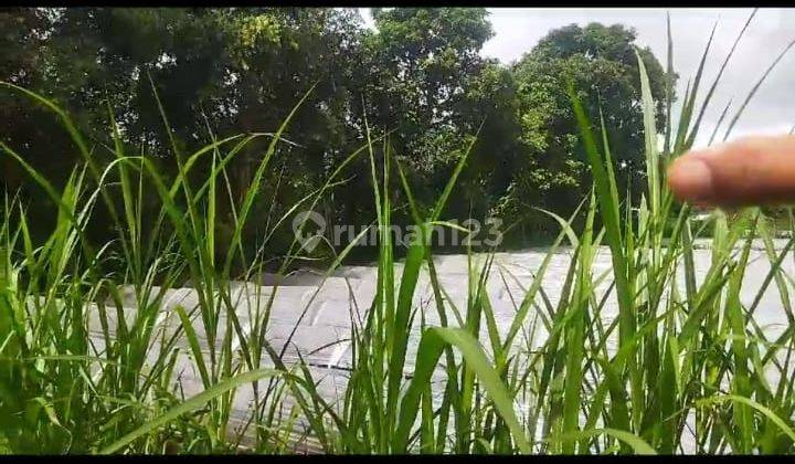 Hot List Di Jual Tanah Lokasi Bedugul Baturiti Tabanan  2