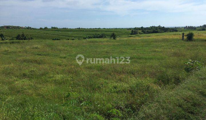 Hot List Di Jual Tanah View Sawah Dan Laut Lokasi Tibubiu Kerambitan Tabanan 2