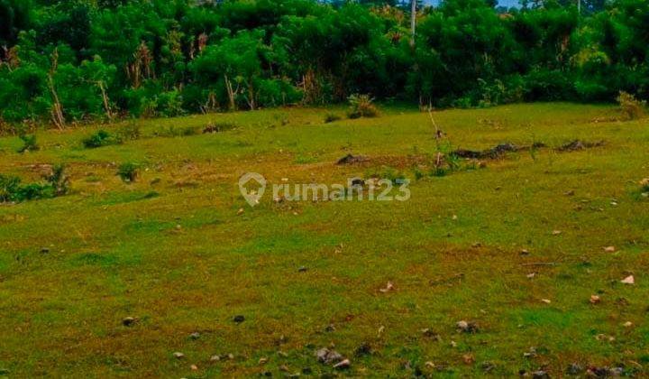 Hot List Di Jual Tanah View Laut Lokasi Ungasan Kuta Selatan Badung  2