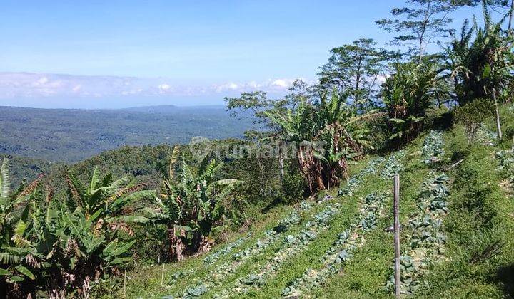 Hot List Land for sale in Asah Gobleg Banjar Buleleng  1