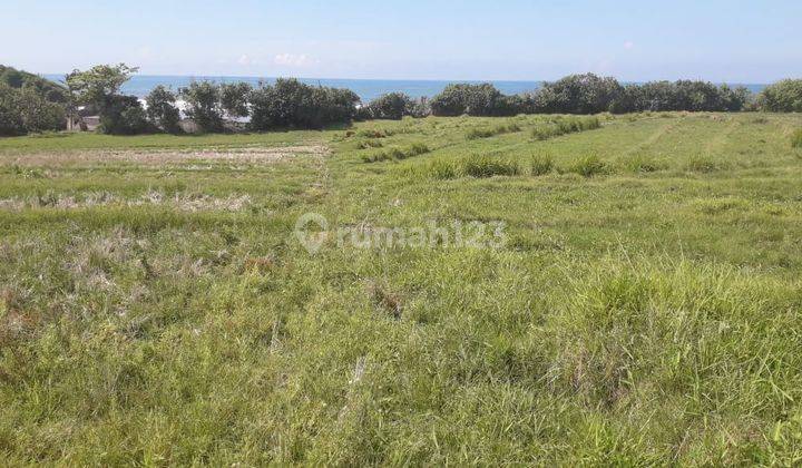 Hot List Di Jual Tanah Loss Pantai View Laut Lokasi Kelating Kerambitan Tabanan  1