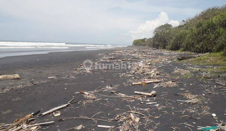 Hot List Di Jual Tanah Loss Pantai View Laut Lokasi Kelating Kerambitan Tabanan  2