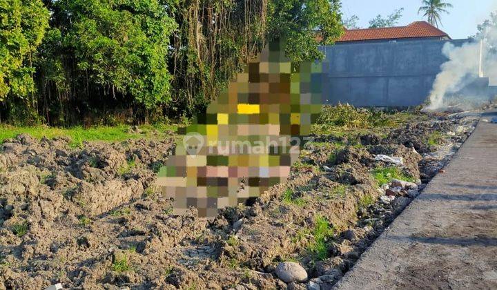 Hot List Di Jual Tanah Lokasi Tumbak Bayuh Pererenan Canggu Badung 1