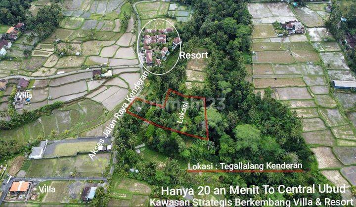 Hot List Land for sale in Kenderan Tegallalang Ubud Gianyar  2