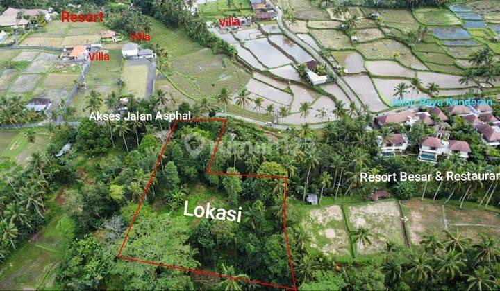 Hot List Land for sale in Kenderan Tegallalang Ubud Gianyar  1