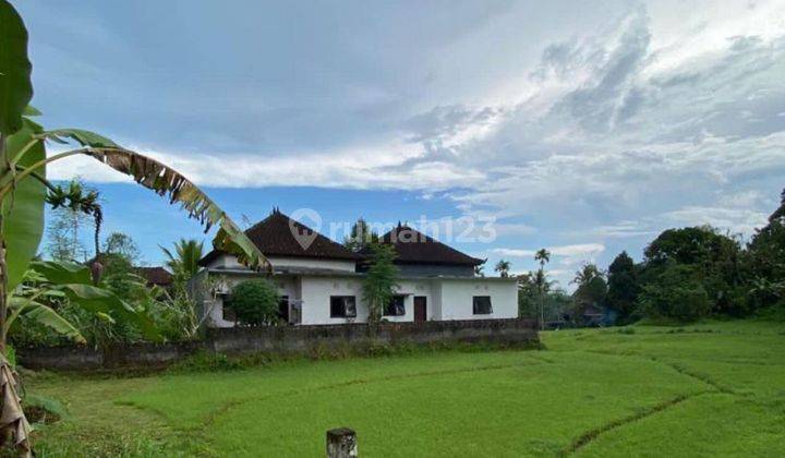 Hot List Di Jual Tanah Lokasi Megati Selemadeg Tabanan 1