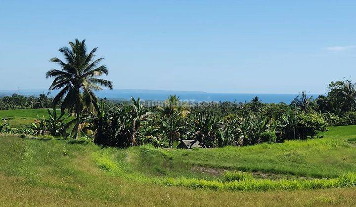 Hot List of land for sale with sea view, Lumbung Selemadeg location, West Tabanan 2